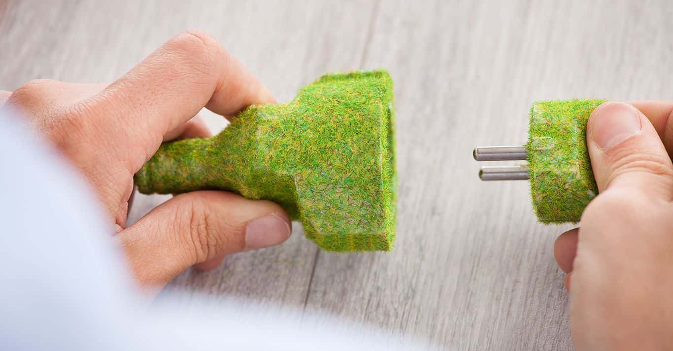 Klimafreundlicher Arbeitsplatz – Was Unternehmen tun können